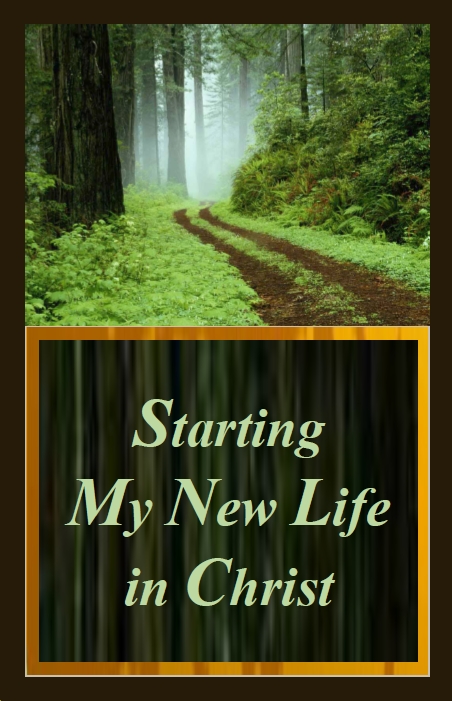 Starting New Life Cover